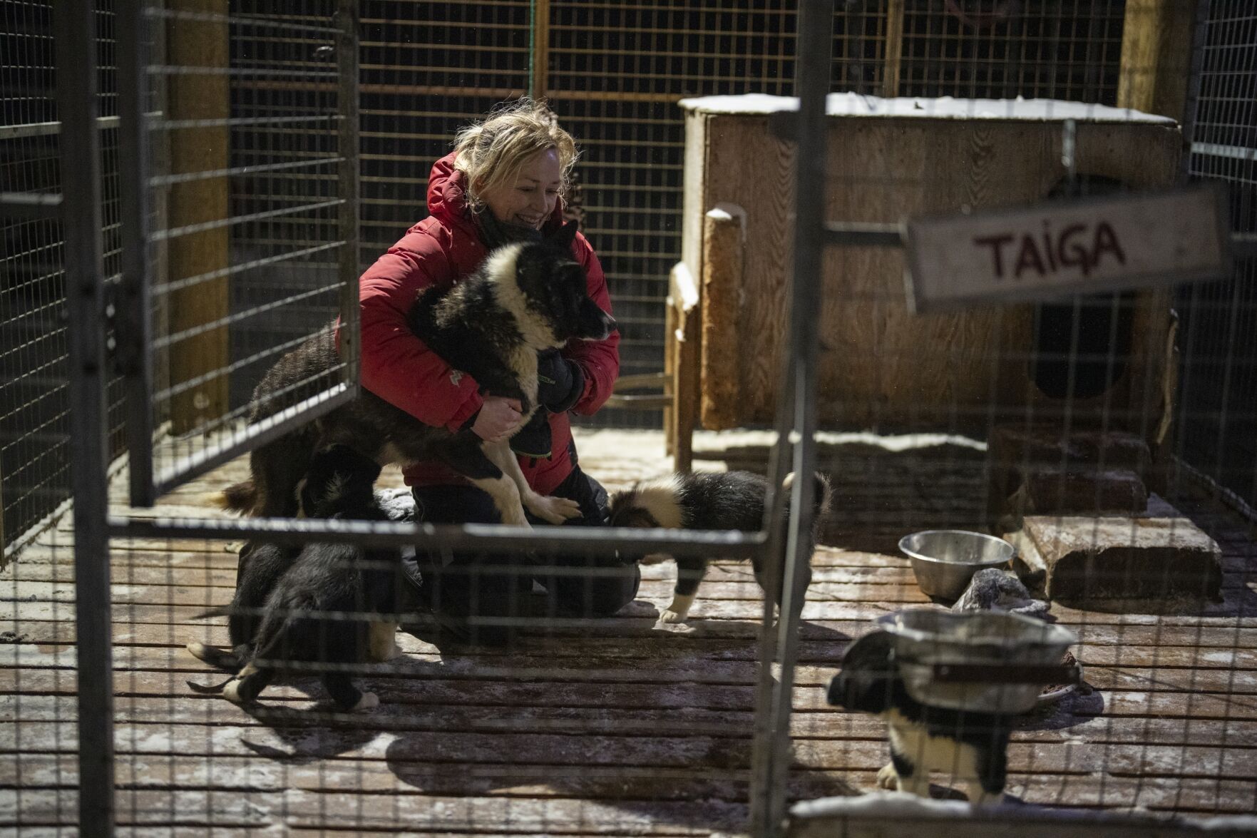 Norwegian Arctic Dog Sledding